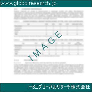グローバルリサーチ調査資料のイメージ